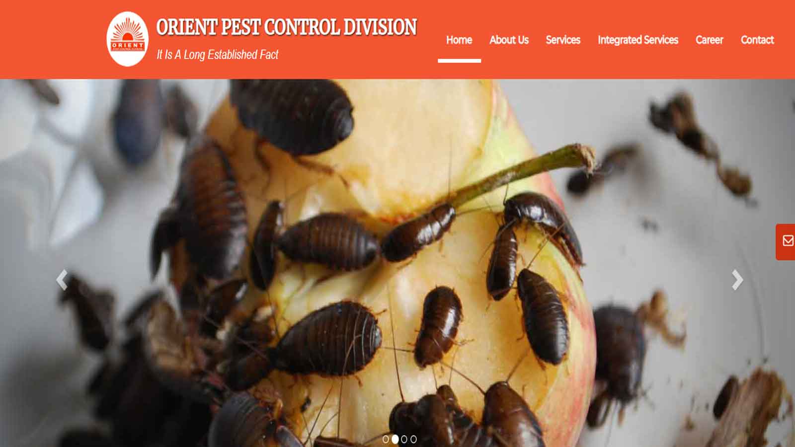 Orient Pest Control